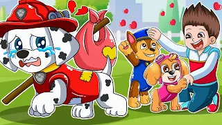 Paw Patrol The Mighty Movie | Goodbye All My Friends | Marshall Go Away | Sad Story |  Rainbow 3