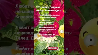 Что знаки Зодиака любят и ненавидят / 5867