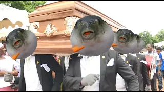 Pufferfish - Astronomia (Coffin Dance Meme)