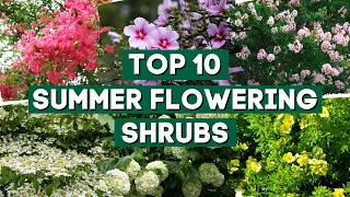 10 Favorite Summer Flowering Shrubs for Full Sun ☀️✨ // Sun-Loving Shrubs