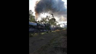 Garratt 6029 in Action - Festival of Steam #railroad #steamengine #railway #locomotive