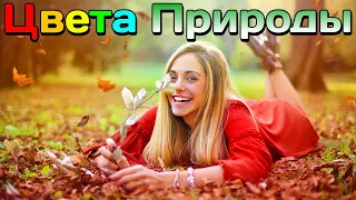 Самая Красивая Музыка 🎶 для Души и Тела ✨ Заряд Энергии ⚡и Хорошего Настроения 😀