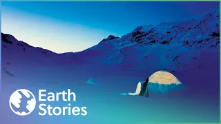 How Lone Inuit Hunts And Survives In Greenland | The Last Igloo | Earth Stories