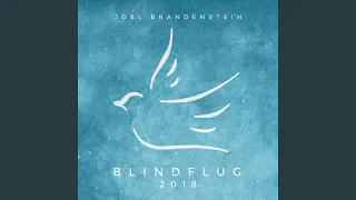 Blindflug (2018)