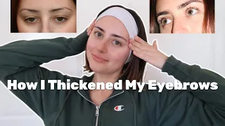 How I Grew Out My Eyebrows Back Out