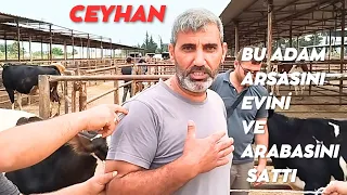 1 MAYIS 2024 CEYHAN BÜYÜKBAŞ HAYVAN PAZARI#hayvanpazari #kurbanlıkfiyatları #keşfet #köyhayatı#adak