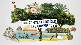 Comment protéger la biodiversité ?