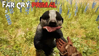 Far Cry Primal - Все анимации приручения животных