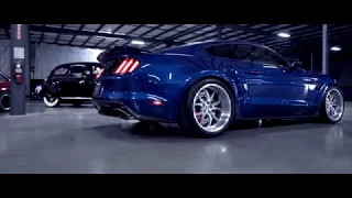 SHELBY SUPER SNAKE | "2017 widebody concept"