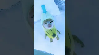 Banana Cat And Whiny Situation | Coolness in Summer | Noot Noot🐧❄️