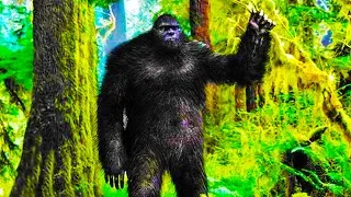 BIGFOOT FOUND US! (FINDING BIGFOOT 2.0)