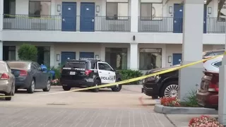 Woman killed in attempted murder-suicide
