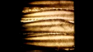 Sand Animation on Christmas theme