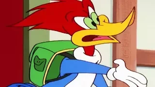 Woody Woodpecker Show | Inn Trouble | 1 Hour Compilation | Cartoons For Children