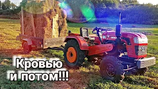 Сенокос который проверил меня на прочность // Такое со мной первый раз