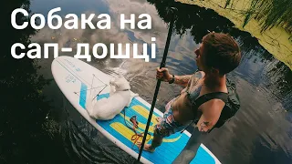 Катце на річці. Зводив собаку на пляж.