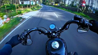 Pure Sound [RAW] - HD Sportster 48