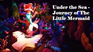 Under the Sea - Journey of The Little Mermaid - Low Light POV Video (4K)