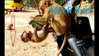 Millions Hurt | little Lola much hurt cause fall down by Mistreated of younger monkey.