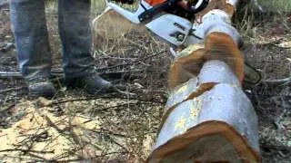 Stihl MS241C