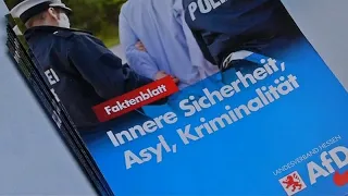 Der Aufstieg der AfD