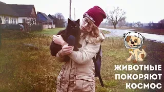 Животные, которые побывали в космосе