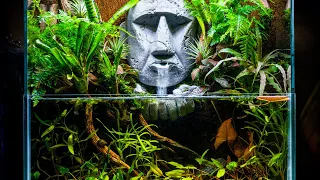 Ancient Ruins Reclaimed by Nature Jungle Paludarium with DIY Waterfall Statue Face