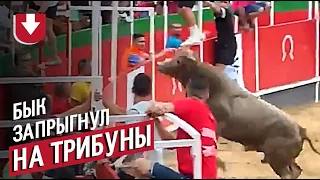 Бык запрыгнул на трибуны к зрителям!