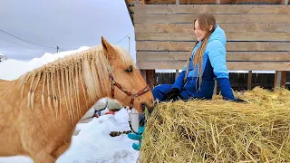 Конюшенные будни 💪| Спасаем крышу сенника КоноVLOG