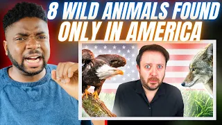 🇬🇧BRIT Reacts To 8 WILD ANIMALS YOU ONLY FIND IN AMERICA!
