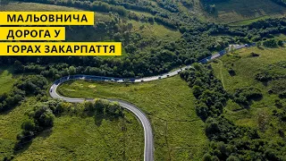 Мальовнича дорога у горах Закарпаття