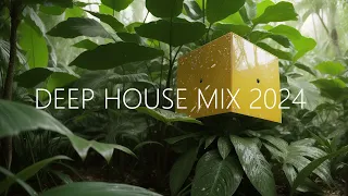 DEEP HOUSE MIX 2024