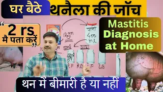 थन की खराबी की सबसे सस्ती जॉच घर बैठे Mastitis Diagnosis 👉🏻 Thanela ki janch kaise hoti hai