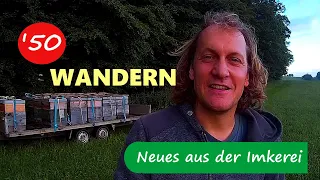 Bienen wandern: So mache ich es - Neues aus der Imkerei #49