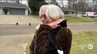 'I got my family back': Cat and owner reunited in multi-state miracle