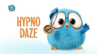 Angry Birds Blues | Hypno Daze - S1 Ep25