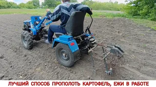 ЛУЧШИЙ СПОСОБ ПРОПОЛОТЬ КАРТОФЕЛЬ, ЕЖИ В РАБОТЕ / THE BEST WAY TO WEED POTATOES