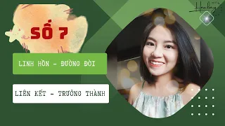 Thần số học: SỐ 7 ❤️ NHÀ THÔNG THÁI