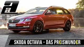 So viel Skoda Octavia (150PS) bekommt IHR 2019 für 22.000€ | KAUFBERATUNG/REVIEW