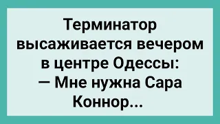 Как Терминатор в Одессу Прибыл! Сборник Свежих Смешных Жизненных Анекдотов!