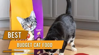 Top 6 Best Budget Cat Foods [2022 Review] | Chicken, Salmon, Turkey & Garden Greens Flavor Cat Foods