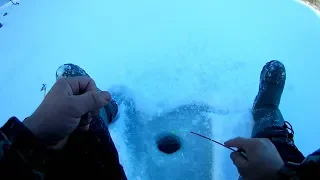 первый лёд 2018-2019, рыбалка на блесну