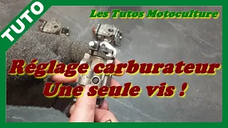 Réglage carburateur une (1) seule vis ! ( taille haie , débroussailleuse , etc )