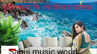 তুমি পারো কি গো চিনতে আমায়।। Tumi paro ki go chinte amay।। Super hit bangla song।।