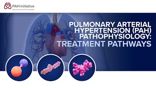 Pulmonary Arterial Hypertension (PAH) Pathophysiology: Treatment Pathways