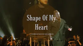 Shape of My Heart с симфоническим оркестром #симфоническийоркестр #симфорок #sting #shapeofmyheart