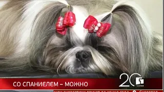 Губерния. 20 лет. Новости. 22/11/2018. GuberniaTV