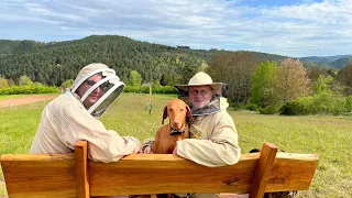 Zu Besuch bei Pascal und seinen Bienen