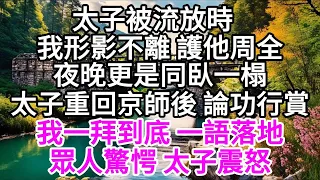 太子被流放時，我形影不離 護他周全，夜晚更是同臥一榻，太子重回京師後 論功行賞，我一拜到底 一語落地，眾人驚愕 太子震怒 【美好人生】