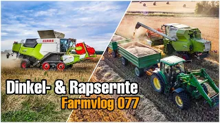 Endlich Dinkel🌾 | Rapsernte mit Claas Trion 730 - Farmvlog 077